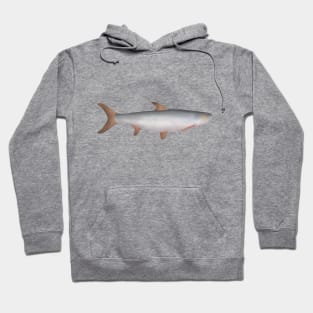 Giant Salmon Carp Hoodie